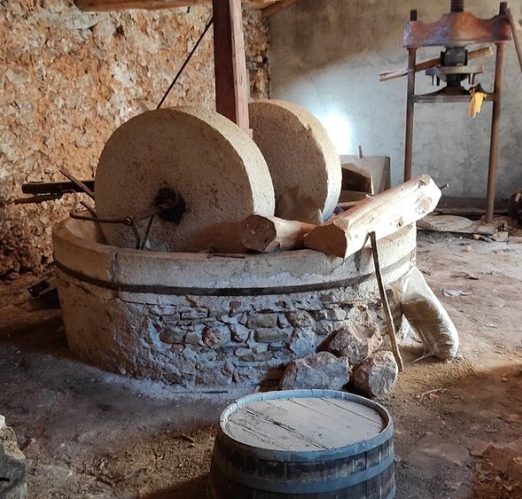 Corfu Olive Oil & Paleokastritsa Beach